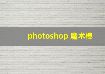 photoshop 魔术棒